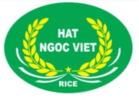 CÔNG TY TNHH TM HẠT NGỌC VIỆT